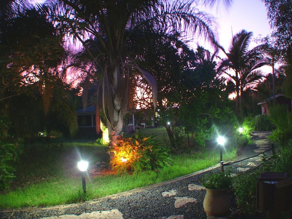 Villa The Galilee Cabin à Arbel Extérieur photo